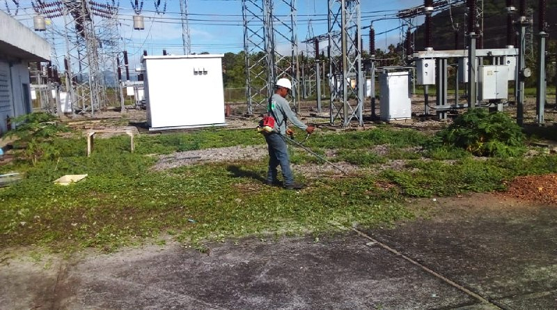 Desmalezan más de 400 hectáreas de corredores eléctricos en Amazonas