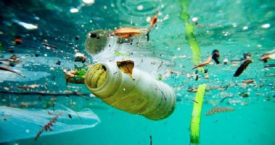Estudios aseguran que el plástico que llega a los mares se pudiese triplicar para 2040