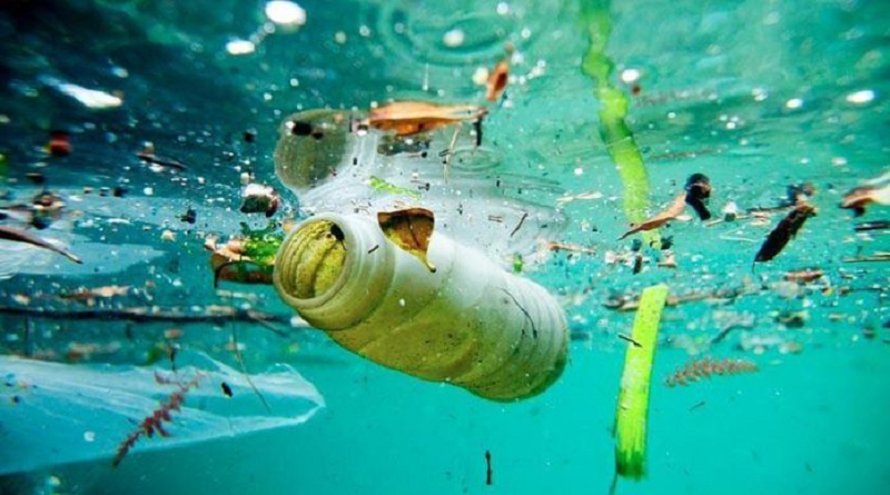 Estudios aseguran que el plástico que llega a los mares se pudiese triplicar para 2040