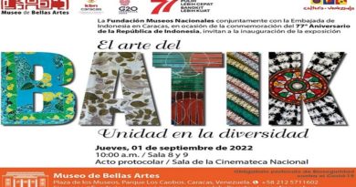Museo de Bellas Artes inaugurará muestra expositiva "El Arte del Batik. Unidad en la Diversidad"﻿