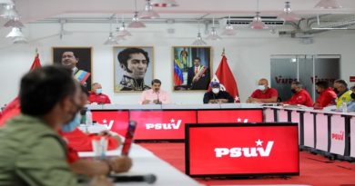 PSUV llama a maquinarias revolucionaria llevar adelante tres líneas de acción