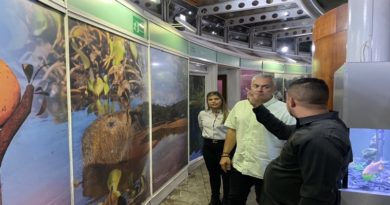 Inspeccionan recuperación de la obra La Flor de Venezuela en Lara
