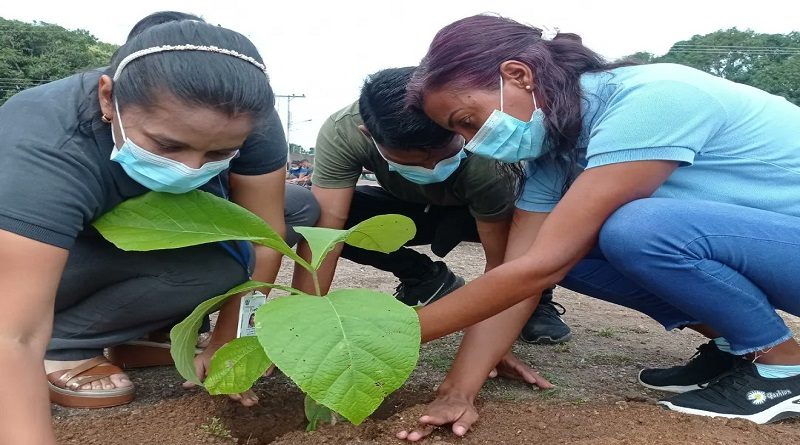 Minec siembra árboles Nogal en Zoológico de Caricuao