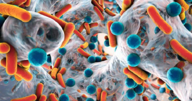 Científicos alertan sobre bacterias resistentes