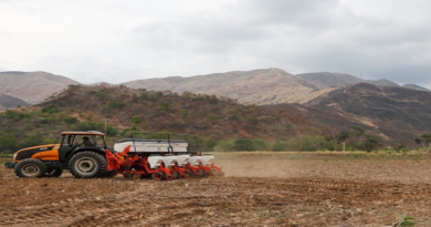 Unidad de Producción Integral “Cacique Yare” de Aragua cuenta con planta de porcino