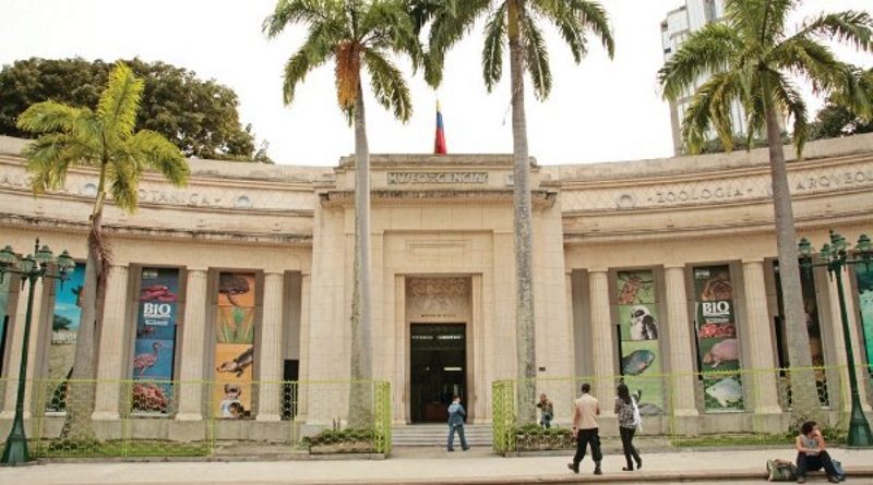 La Fundación de Museos Nacionales dictará talleres para niños