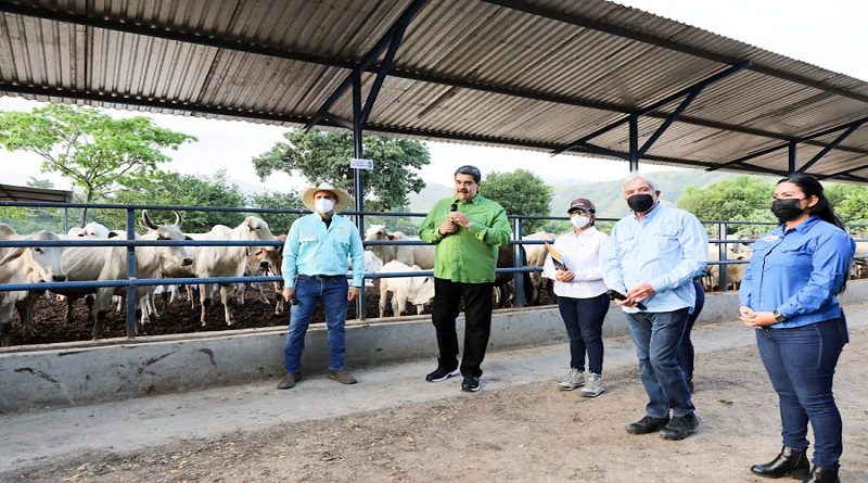 Presidente Maduro en Miércoles Productivo: Hemos iniciado la recuperación económica