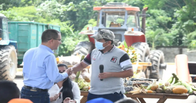 Productores de Barinas reciben semillas nacionales para producción de maíz