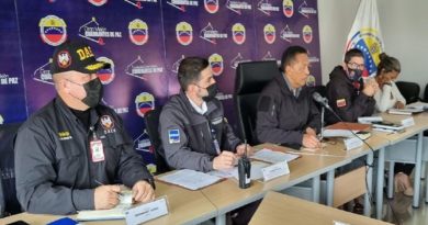 Establecen proyecto de ley para Servicios de Vigilancia Privada