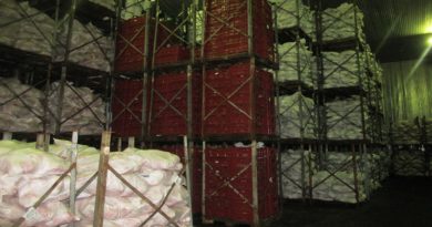 Centro de Almacenes Congelados mantiene operaciones logísticas y despacho de proteína animal