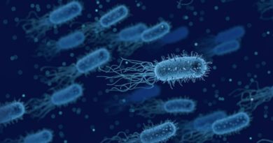 Conozca la resistencia antimicrobiana contra la que lucha Argentina