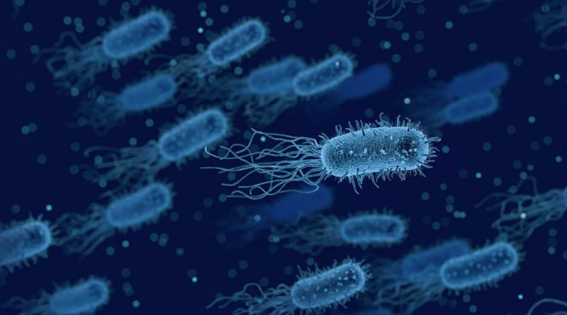 Conozca la resistencia antimicrobiana contra la que lucha Argentina