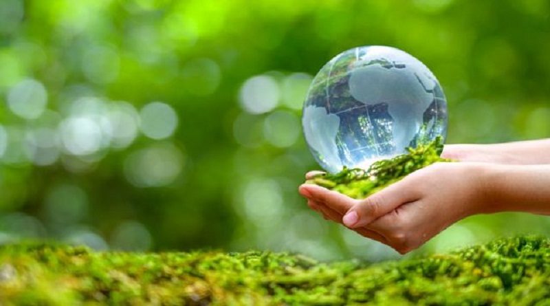 Divulgan plan para enfrentar cambio climático en Nueva Zelanda