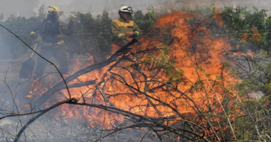 Incendios forestales arrasan once mil hectáreas en España