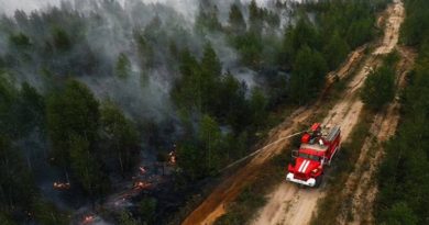 Putin ordena aplicar medidas para apagar incendio al sureste de Moscú