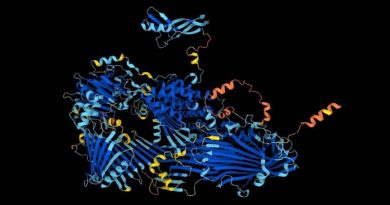 Inteligencia Artificial predecir la forma en 3D de más de 200 millones de proteínas