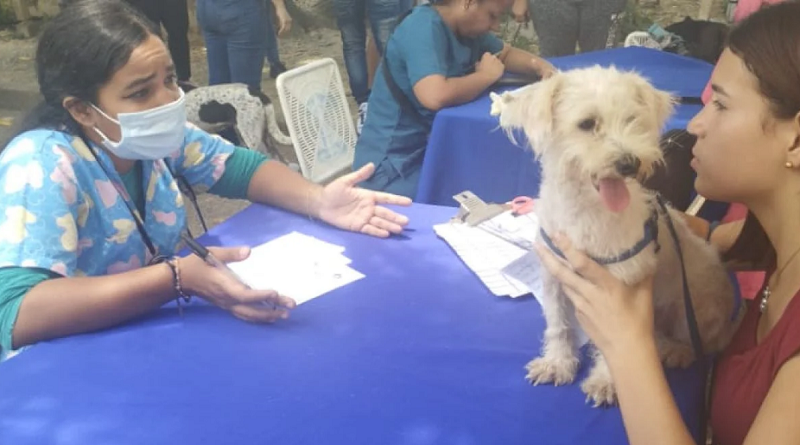 Misión Nevado atiende alrededor de 229 mascotas en Miranda