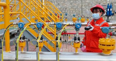 Rusia incrementa exportaciones de combustibles a China