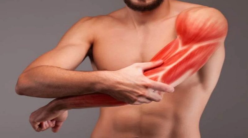 Conoce cuáles nutrientes ayudan a la reparación muscular
