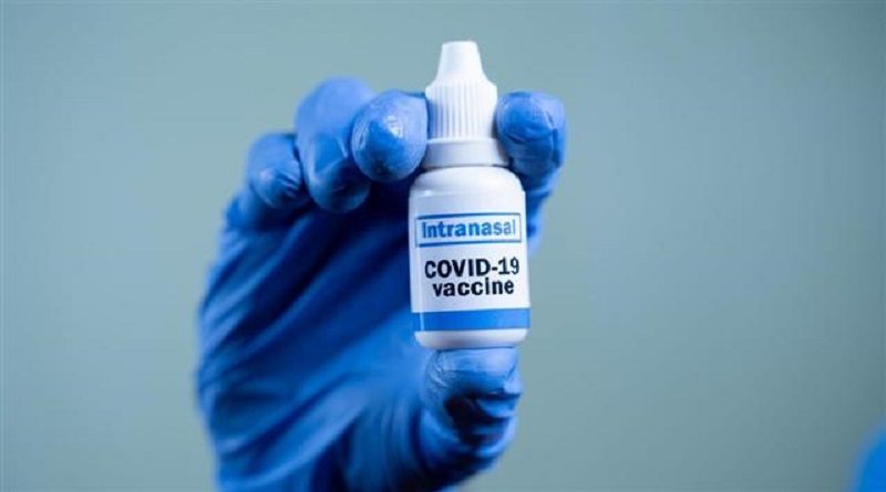 Vacuna nasal Sputnik V es efectiva ante todas las cepas SarS-COV-2