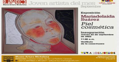 Maríadelaida Suárez presenta "Piel Cosmética" en el Museo Arturo Michelena