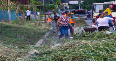 Realizan jornada de mantenimiento en la autopista Gran Cacique Guaicaipuro