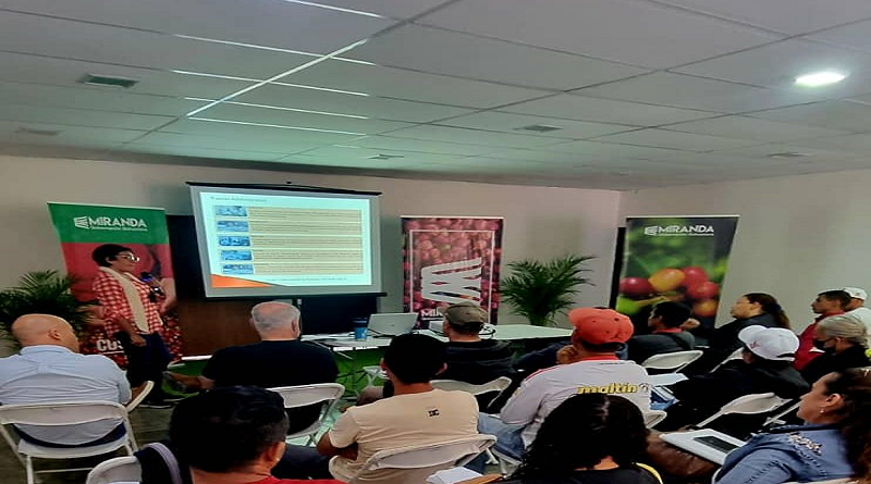 Diplomado Maestros Cafetaleros impulsa producción de café en Miranda