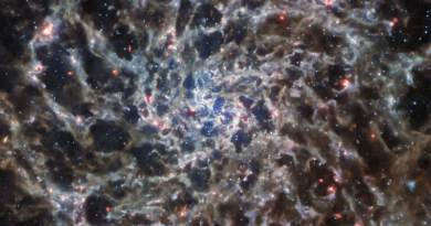 Telescopio James Webb capta 'huesos' ocultos de galaxia en espiral