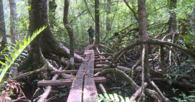 FANB destruye más de 3 mil litros de combustible detectados en las riveras del Delta del Orinoco
