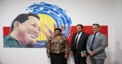 Venezuela y Suráfrica avanzan en agenda de intercambio cultural