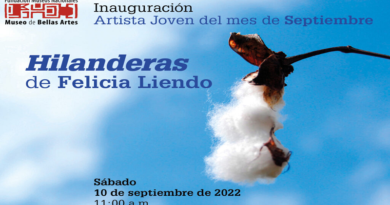 Inauguran programa Artista Joven del Mes en Museo de Bellas Artes