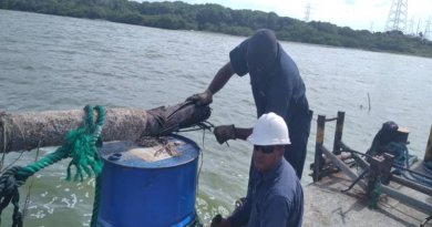 Corpoelec trabaja para normalizar el servicio en Zulia
