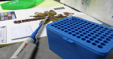 Incluyen a Dirección de Análisis Biológico y Genética Forense del Senamecf en plataforma internacional