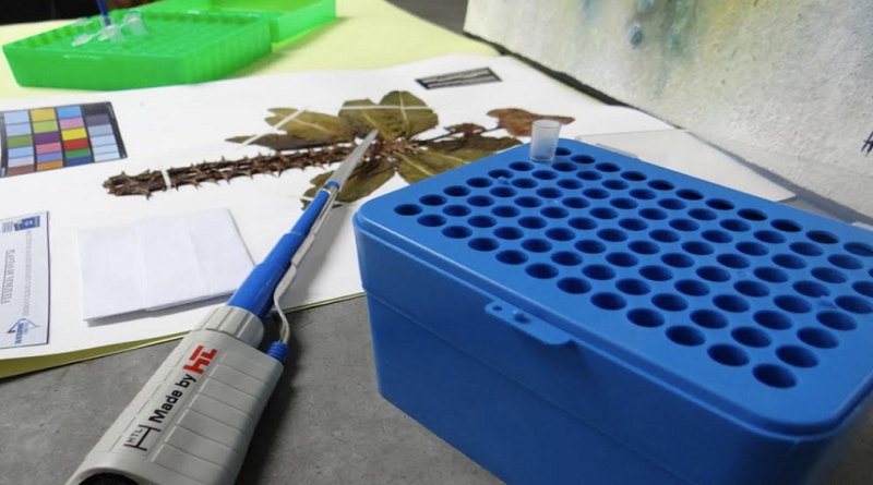 Incluyen a Dirección de Análisis Biológico y Genética Forense del Senamecf en plataforma internacional