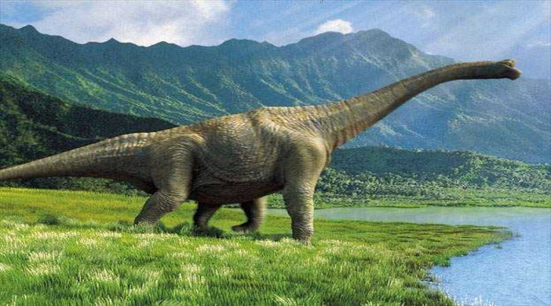 Hallan en Portugal un enorme dinosaurio saurópodo del periodo Jurásico Hallan en Portugal un enorme dinosaurio saurópodo del periodo Jurásico