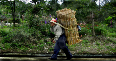 Gobierno de Petro inicia reforma agraria con entrega de 680.000 hectáreas a campesinos de Colombia