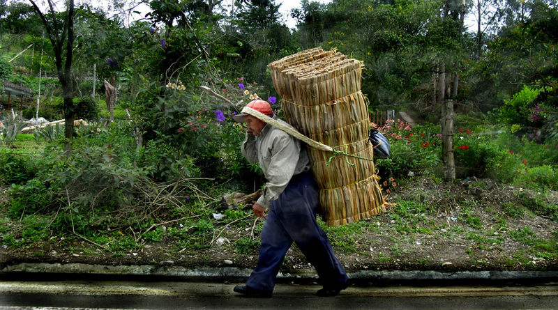 Gobierno de Petro inicia reforma agraria con entrega de 680.000 hectáreas a campesinos de Colombia