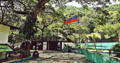 SÁBADO 24-S: Parque Zoológico El Pinar será reinaugurado tras rehabilitación integral