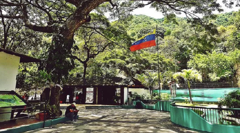 SÁBADO 24-S: Parque Zoológico El Pinar será reinaugurado tras rehabilitación integral
