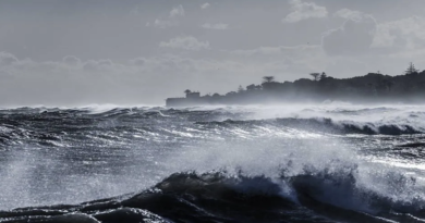 Investigadores en Ciencias del Mar instan a más atención ante Cambio Climático en América Latina