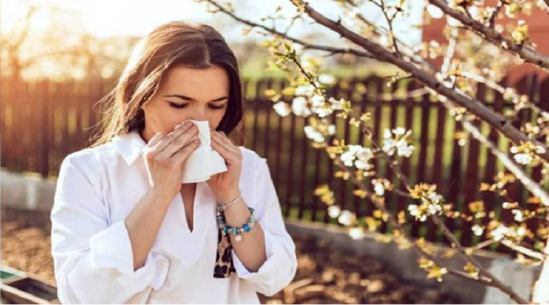 Descubre cómo tratar la sinusitis con aloe vera