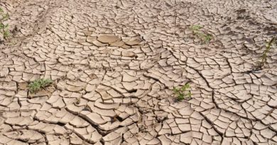Triple fenómeno de La Niña producirá sequías en Sudamérica