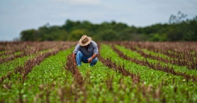 Venezuela celebra el Día Mundial de la Agricultura