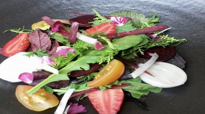 La culinología vincula ciencia y cocina permitiendo crear platos más nutritivos