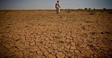 Advierten peligro sobre cambio climático en Egipto