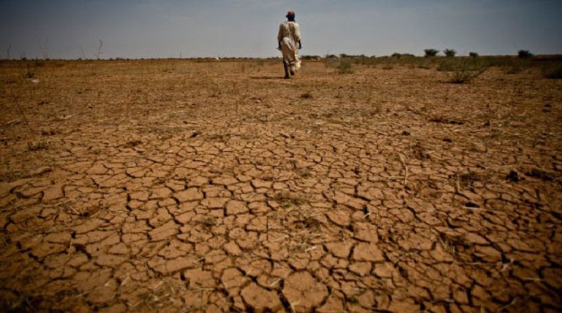 Advierten peligro sobre cambio climático en Egipto