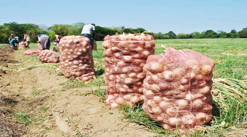 Expo Guárico 2022 impulsará producción y economía de la entidad