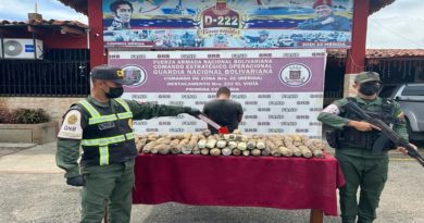 Efectivos de la FANB incautan 77 kg de marihuana en Mérida﻿