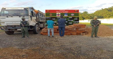 FANB detuvo en Táchira a ciudadano por contrabando de cedro