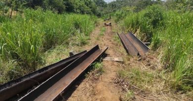 FANB detiene a sujetos picando tuberías de poliductos en Carabobo